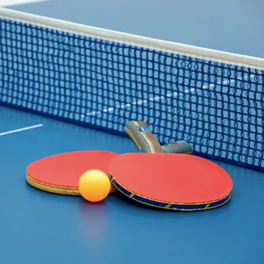 Tennis de Table Premium